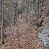 PXL_20260322_090411167