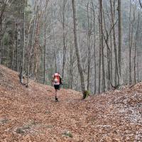 PXL_20260322_091459291