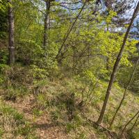 PXL_20260418_080654498