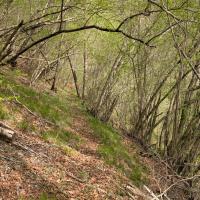 PXL_20260418_081451391