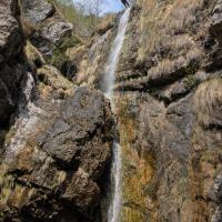 PXL_20260418_095348710