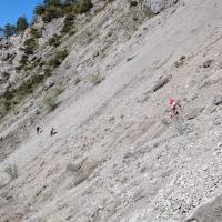 PXL_20260502_083137470