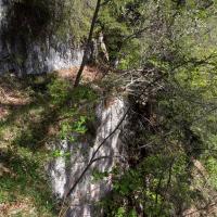 PXL_20260503_084524105