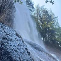 borleggia2_1