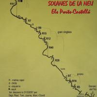 topo